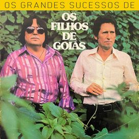 Os Grandes Sucessos de Os Filhos de Goiás - 1980 • Álbum
