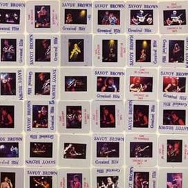 Greatest Hits Live In Concert - 1981 • Álbum