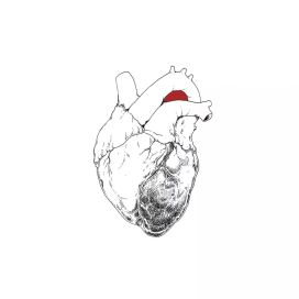 The Beggar - 2023 • Álbum