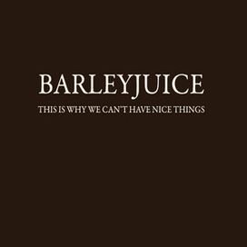 This Is Why We Can't Have Nice Things - 2013 • Álbum