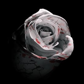 Romantic Homicide - 2022 • Sencillo/EP
