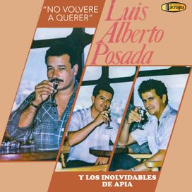 No Volveré A Querer - 1990 • Álbum