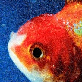 Big Fish Theory - 2017 • Álbum