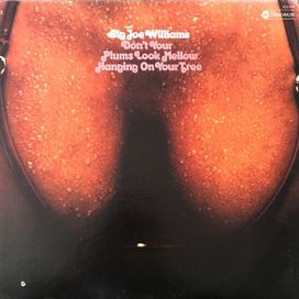 Don't Your Plums Look Mellow Hanging On Your Tree - 1974 • Álbum