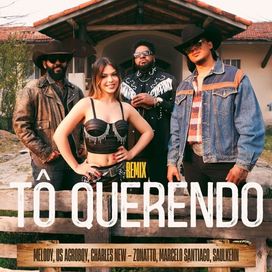 Tô Querendo (remix) (part. US Agroboy, Charles New, Marcelo Santiago, Saulkenn e Zonatto) - 2025 • Single/EP