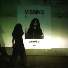 Missing Something - 2024 • Álbum