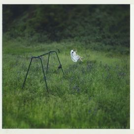 The Gold (feat. Manchester Orchestra) - 2018 • Single/EP
