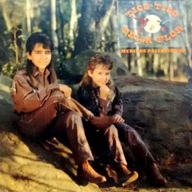 Meninos Passarinhos - 1991 • Álbum
