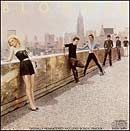 Curse of Blondie - 2004 • Álbum