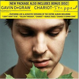 Gavin DeGraw - 2008 • Álbum