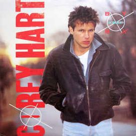 Boy In The Box - 1985 • Álbum