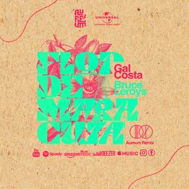 Flor de Maracujá (Remix) (Com Bruce Leroys) - 2023 • Single/EP
