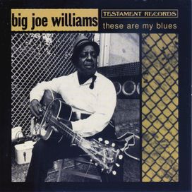 These Are My Blues - 1998 • Álbum