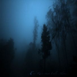 the rain that falls alone... - 2015 • Sencillo/EP