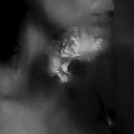 Holding Absence - 2019 • Álbum