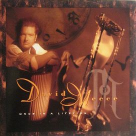 Once In A Lifetime - 1993 • Álbum