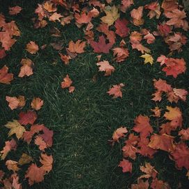 October Passed Me By - 2022 • Single/EP