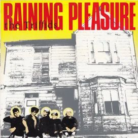 Raining Pleasure - 1984 • Álbum