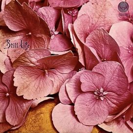Still Life (1971) - 1971 • Álbum