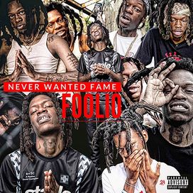 Never Wanted Fame - 2019 • Álbum