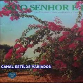 Só o Senhor É Deus - Álbum
