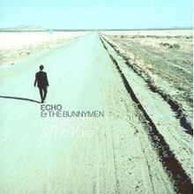 What Are You Going To Do With Your Life?  - 1999 • Álbum
