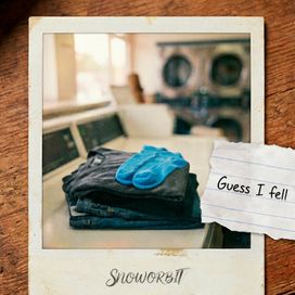 Guess I Fell - SnowOrbit
