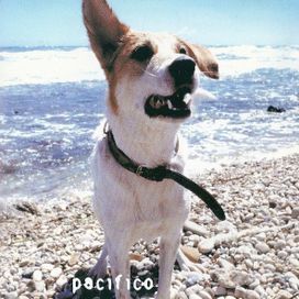 Pacifico - 2001 • Álbum