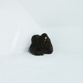 Hiss Spun - 2017 • Álbum