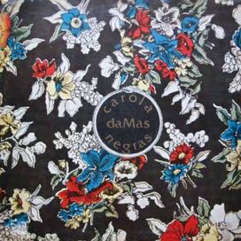 Damas Negras - 1973 • Álbum