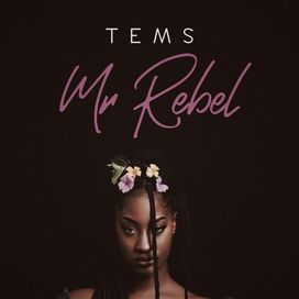 Mr Rebel - 2018 • Single/EP