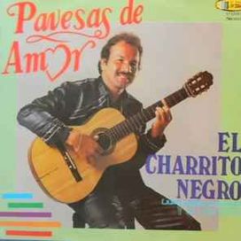 Pavesas De Amor - 1991 • Álbum