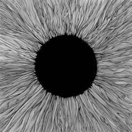 Witness - 2021 • Álbum