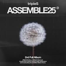 <ASSEMBLE25> - 2025 • Álbum