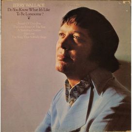 do You Know What Its Like to be Lonesome? - 1973 • Álbum