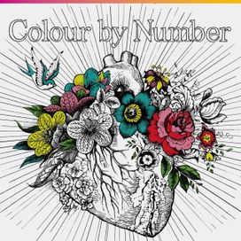 Colour by Number - 2015 • Álbum