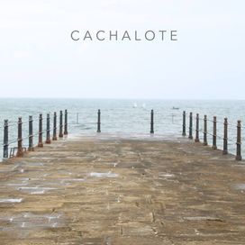 Cachalote - 2014 • Álbum