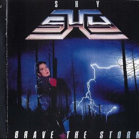 Brave the Storm - 1985 • Álbum