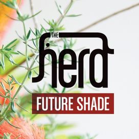 Future Shade - 2011 • Álbum