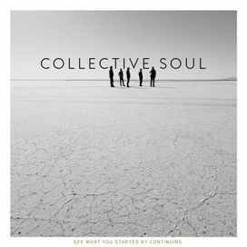 See What You Started by Continuing - 2015 • Álbum