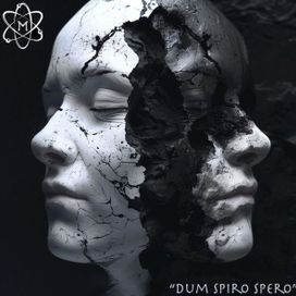 Dum Spiro Spero - Projeto Matéria