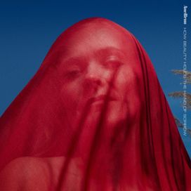 How Beauty Holds The Hand Of Sorrow - 2020 • Álbum