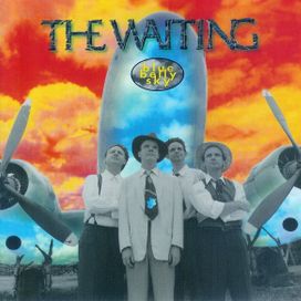 Blue Belly Sky - 1995 • Álbum