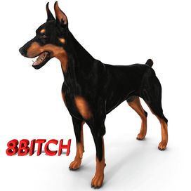 8Bitch - 2016 • Álbum