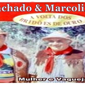 A Volta dos Brindões de Ouro - Álbum