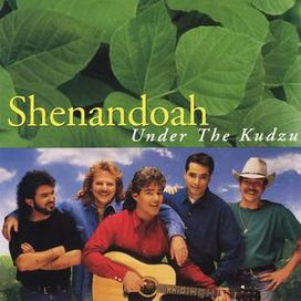 Under The Kudzu - 1993 • Álbum