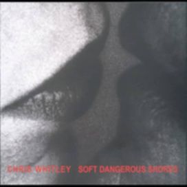 Soft Dangerous Shores - 2005 • Álbum