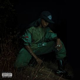 Back To The Woods - 2015 • Álbum
