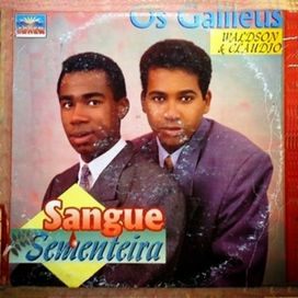 Sangue Sementeira - 1994 • Álbum