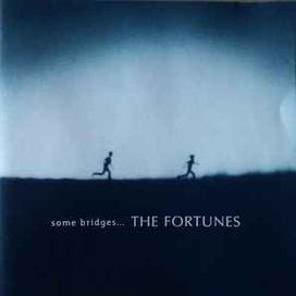 Some Bridges... - 1999 • Álbum